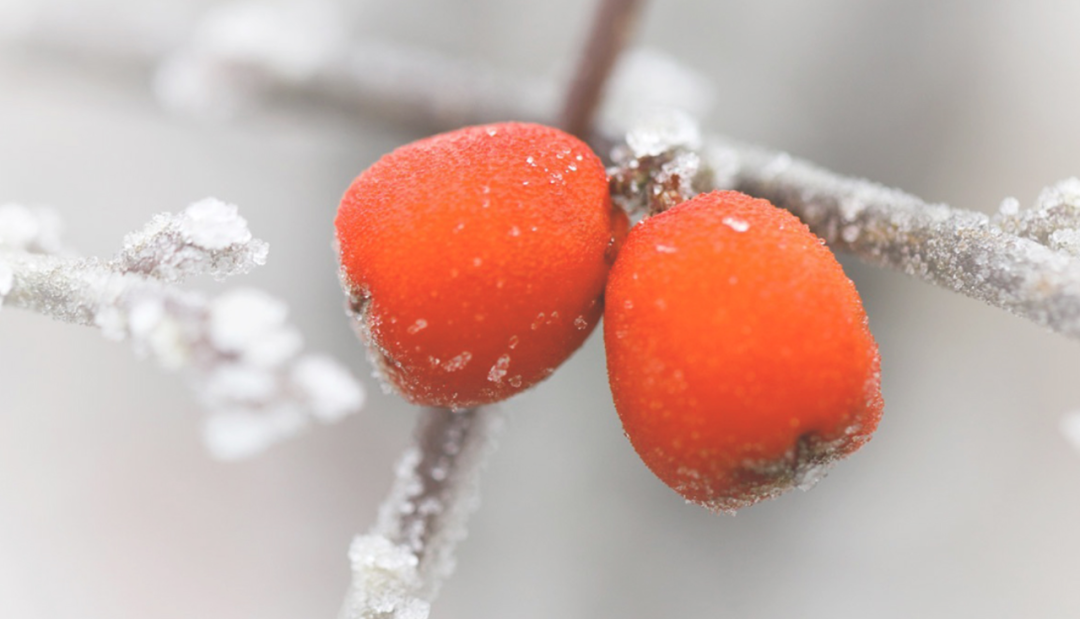 补硒治疗鼻炎(补鼻炎治疗硒片有用吗)-硒宝网