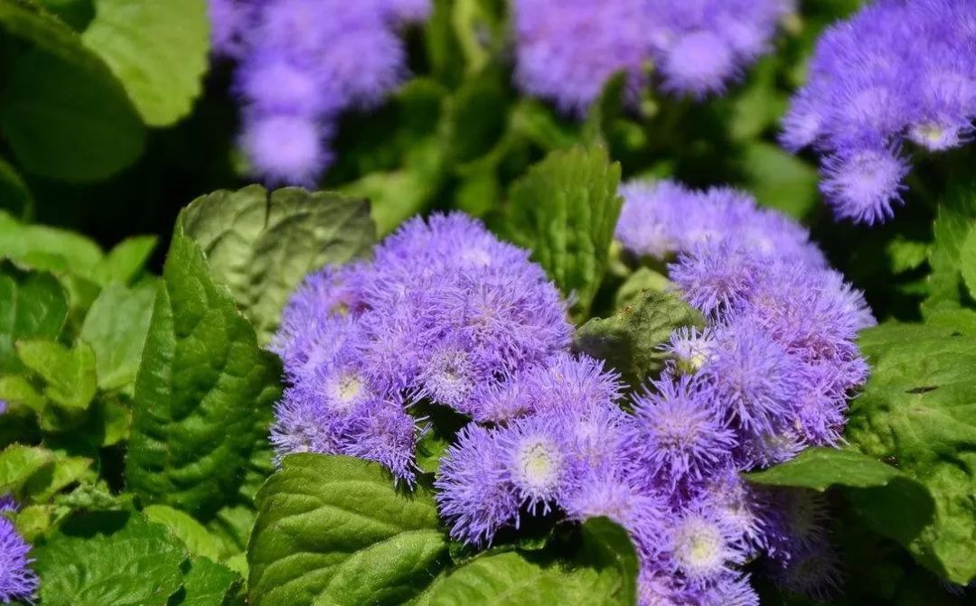 补硒治疗鼻炎(补鼻炎治疗硒片有用吗)-硒宝网