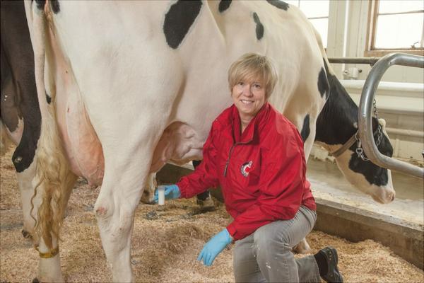 小牛补硒方法(小牛补硒方法)-硒宝网