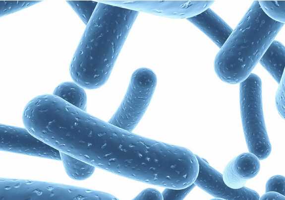 补硒加益生菌(益生菌硒的作用)-硒宝网