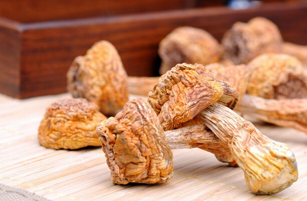 补硒加益生菌(益生菌硒的作用)-硒宝网