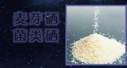 定量补硒工程（补硒工程是什么）-硒宝网