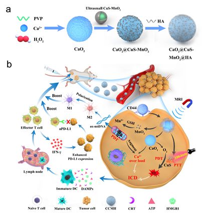 桥本黄芪补硒(桥本氏病补硒为什么)-硒宝网