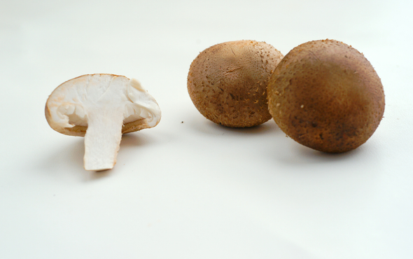 晚期肺癌补硒(晚期肺癌补硒有效果吗)-硒宝网