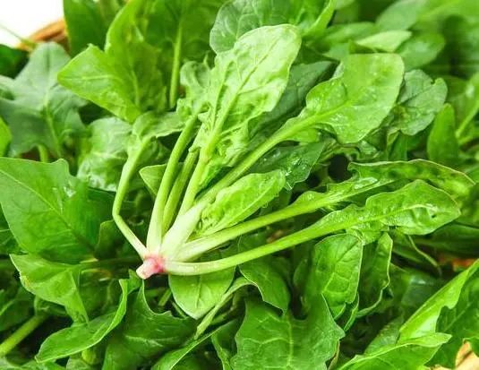 保健补硒每天(每天补硒的好处)-硒宝网