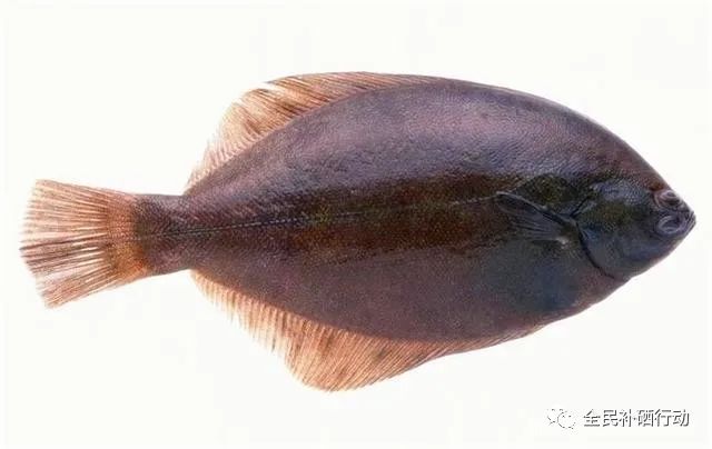 哪种杏仁补硒（种植杏仁）-硒宝网