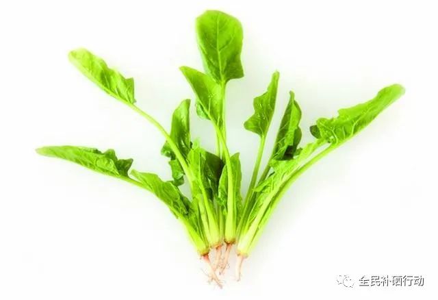 哪种杏仁补硒（种植杏仁）-硒宝网