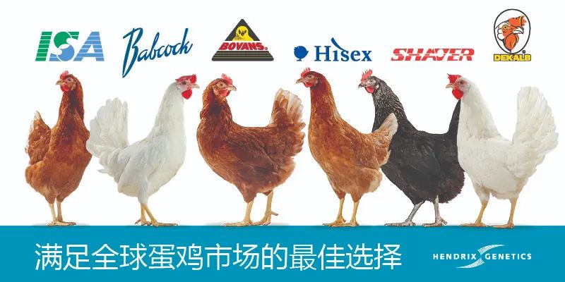 补硒含量单位(硒的计量单位)-硒宝网