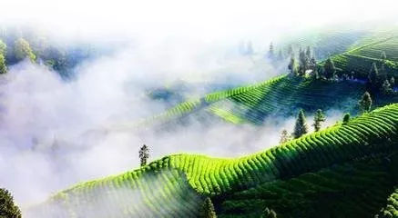 恩施补硒宾馆(恩施硒)-硒宝网