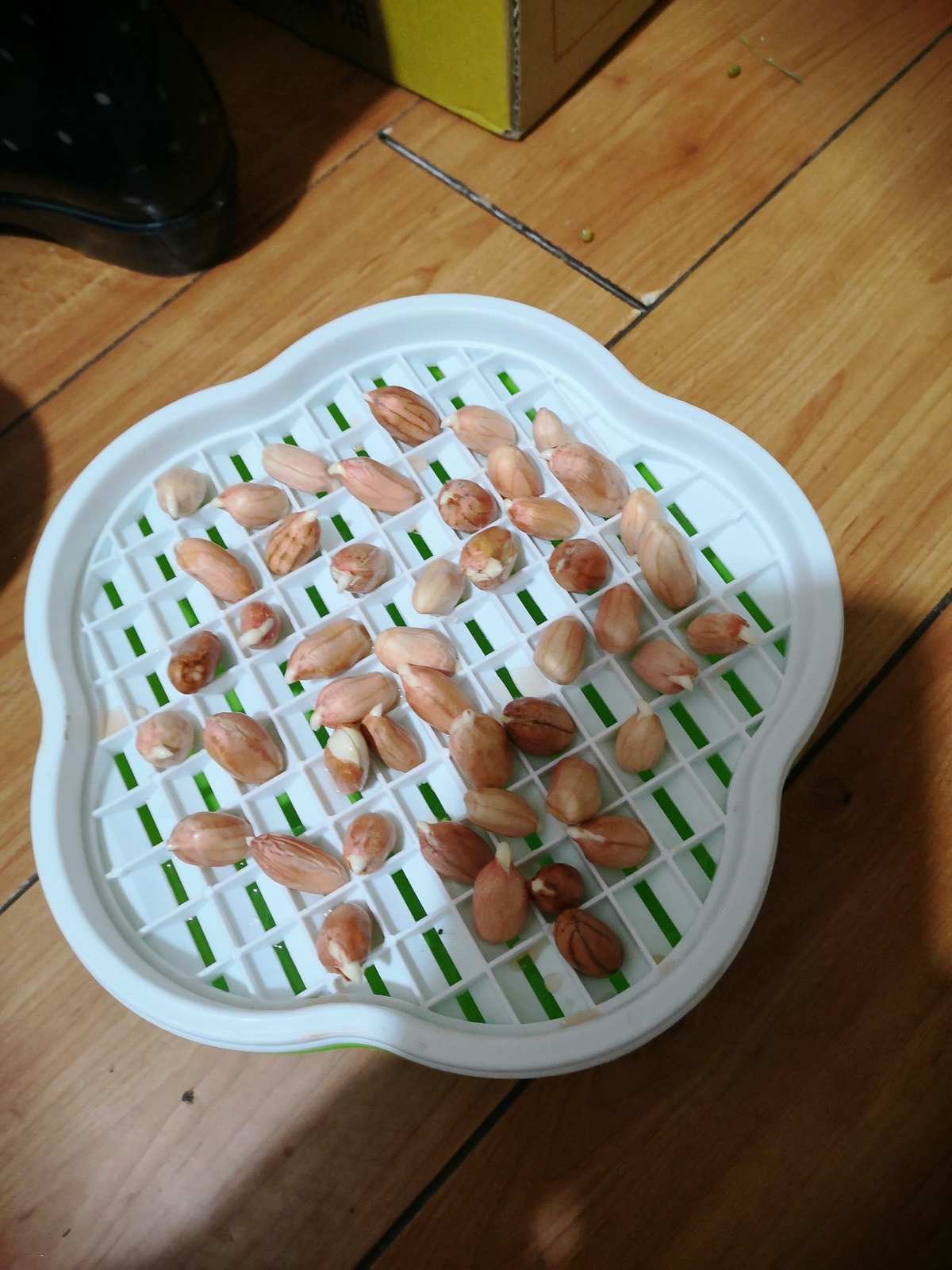 补硒大便颜色（大便色是什么原因）-硒宝网