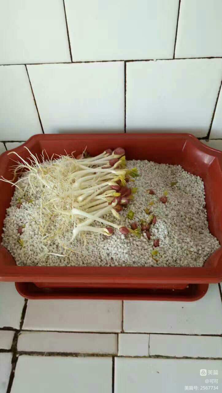 补硒大便颜色（大便色是什么原因）-硒宝网