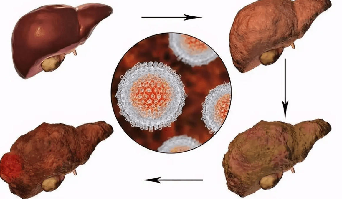 补硒最好药材(补硒最好药材)-硒宝网