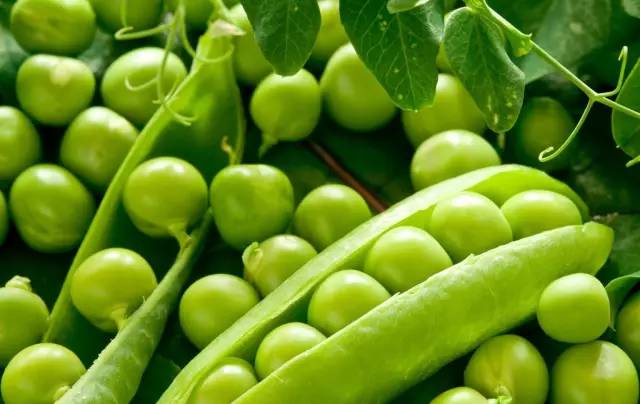 补什么硒最好（新硒望科学补硒协会）-硒宝网