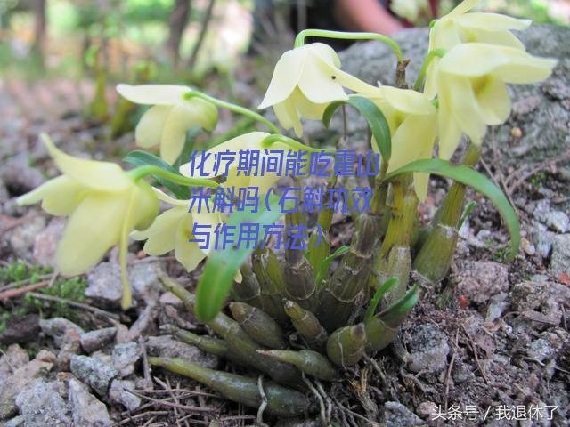 补硒大便颜色(大便补颜色硒含量高吗)-硒宝网