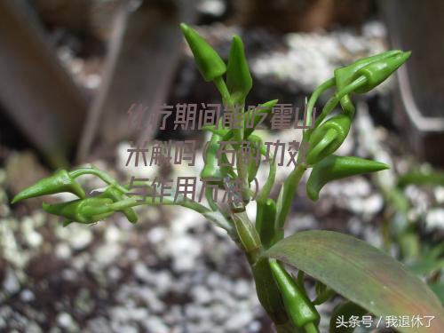 补硒大便颜色(大便补颜色硒含量高吗)-硒宝网