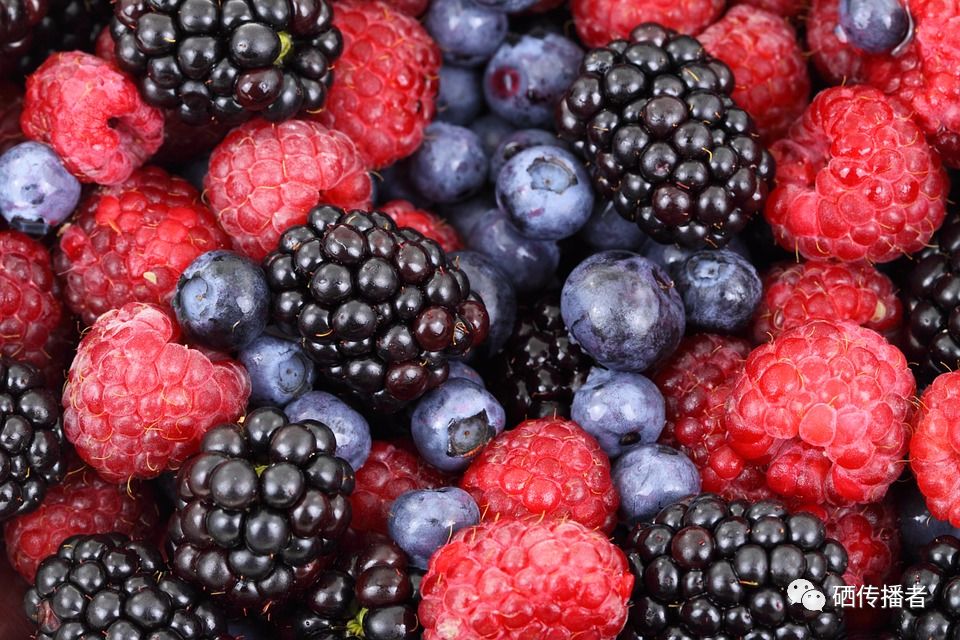 补硒含量单位(硒含量单位ug)-硒宝网