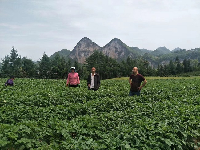 恩施补硒宾馆（湖北恩施的硒怎么样）-硒宝网