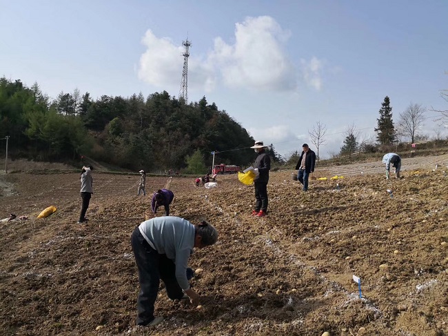 恩施补硒宾馆（湖北恩施的硒怎么样）-硒宝网