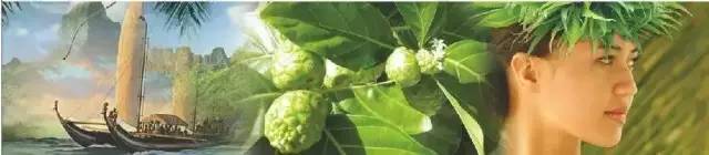 孕期需要补硒（孕期补硒的作用和补硒的好处）-硒宝网