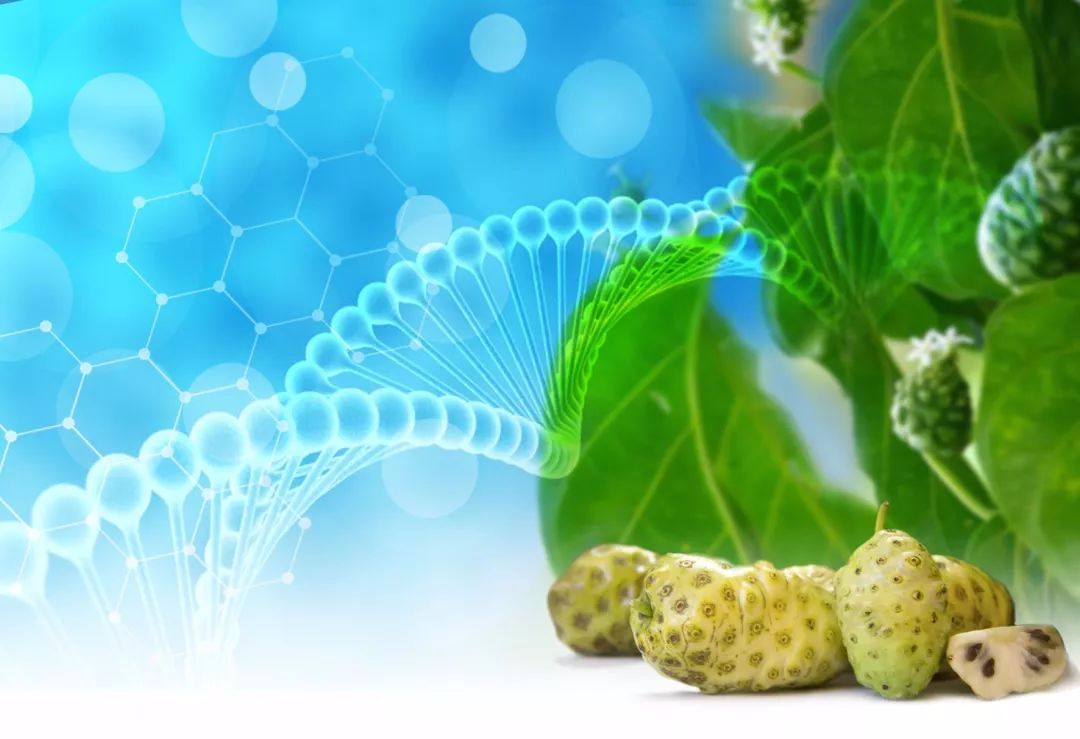 孕期需要补硒（孕期补硒的作用和补硒的好处）-硒宝网