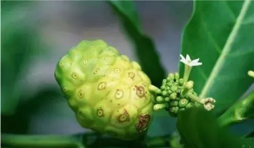 孕期需要补硒（孕期补硒的作用和补硒的好处）-硒宝网