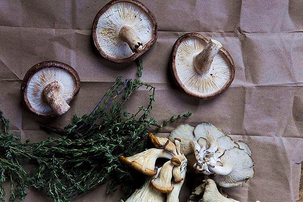 补硒酵母用处(补硒酵母用处)-硒宝网