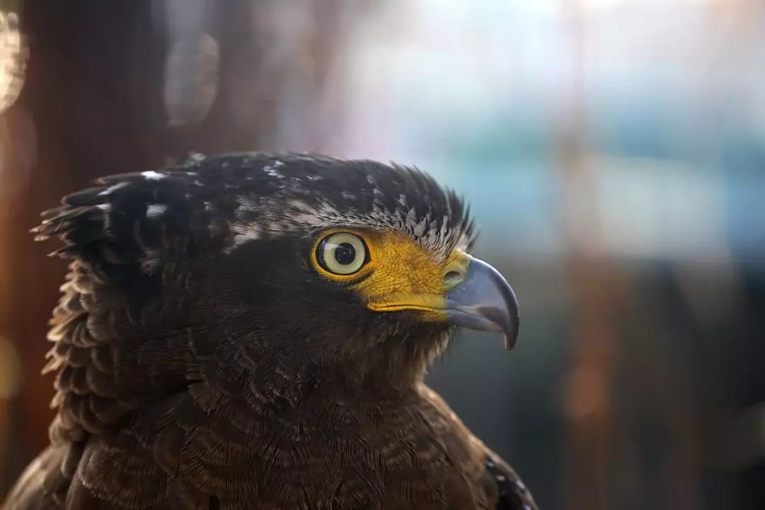 桂林是否补硒（桂林是否补硒）-硒宝网