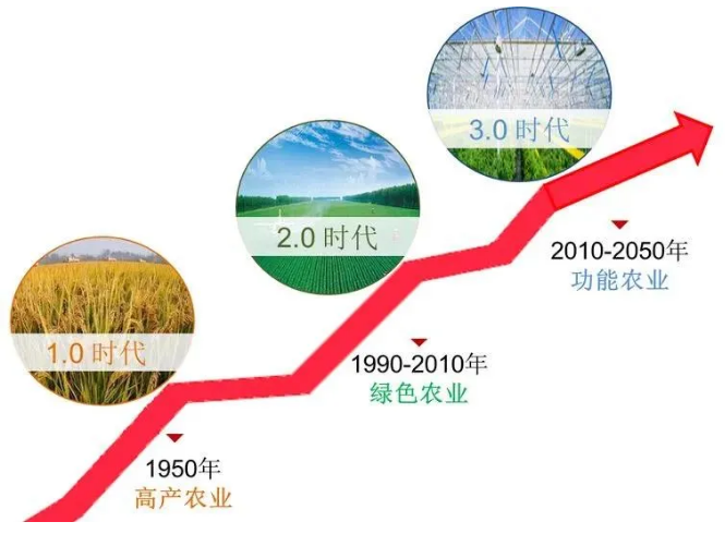 唐山科学补硒(科学补硒协会)-硒宝网