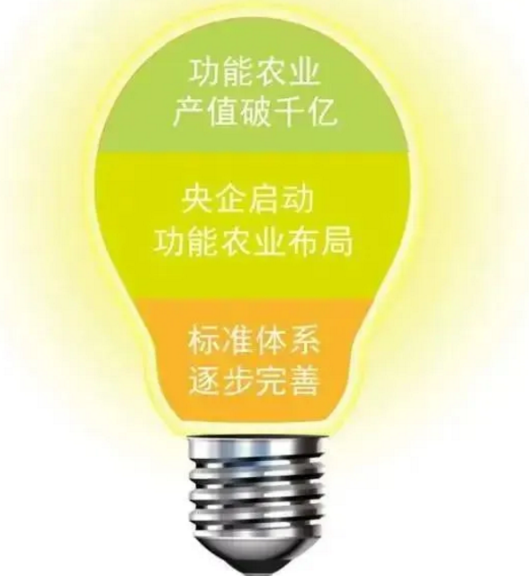 唐山科学补硒(科学补硒协会)-硒宝网