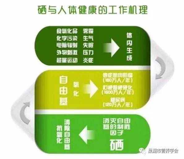 什么干果补硒(富含硒的干果)-硒宝网