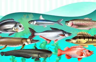 补硒酵母用处(用处酵母补硒的作用)-硒宝网