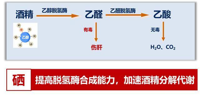 补硒元素骗局(补硒元素骗局)-硒宝网