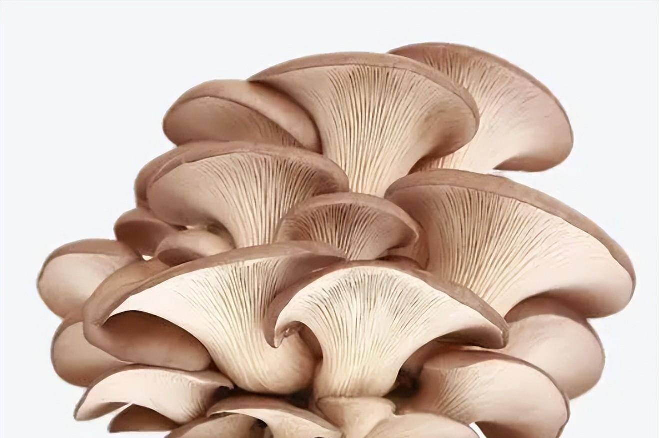 什么干果补硒（什么干果含硒元素多）-硒宝网