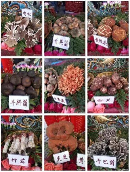 药用补锌补硒（补充锌硒的药）-硒宝网