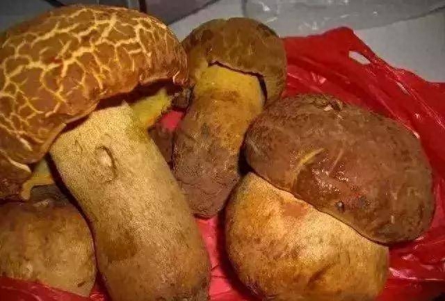 药用补锌补硒（补充锌硒的药）-硒宝网