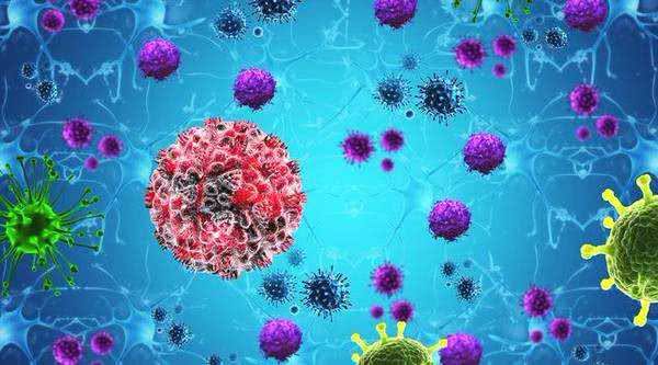 hpv补硒菜(补硒hpv)-硒宝网