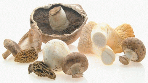 hpv补硒菜(补硒hpv)-硒宝网