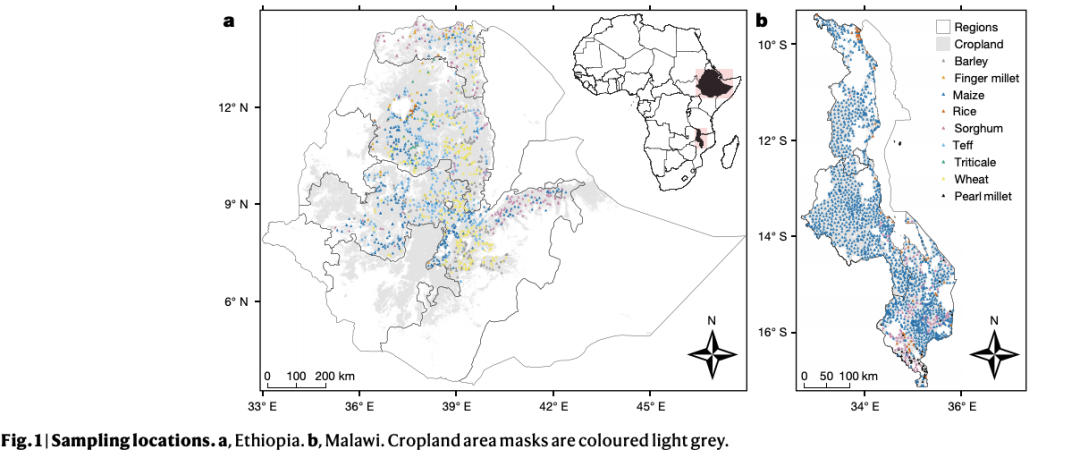 英国补硒元素(进口硒元素多少钱一盒)-硒宝网