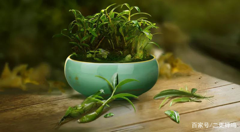 大人如何补硒（成人补硒每天补多少量）-硒宝网