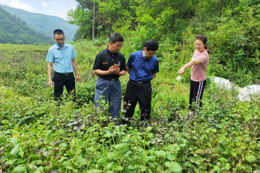 补硒教育培训（培训缺啥补啥）-硒宝网