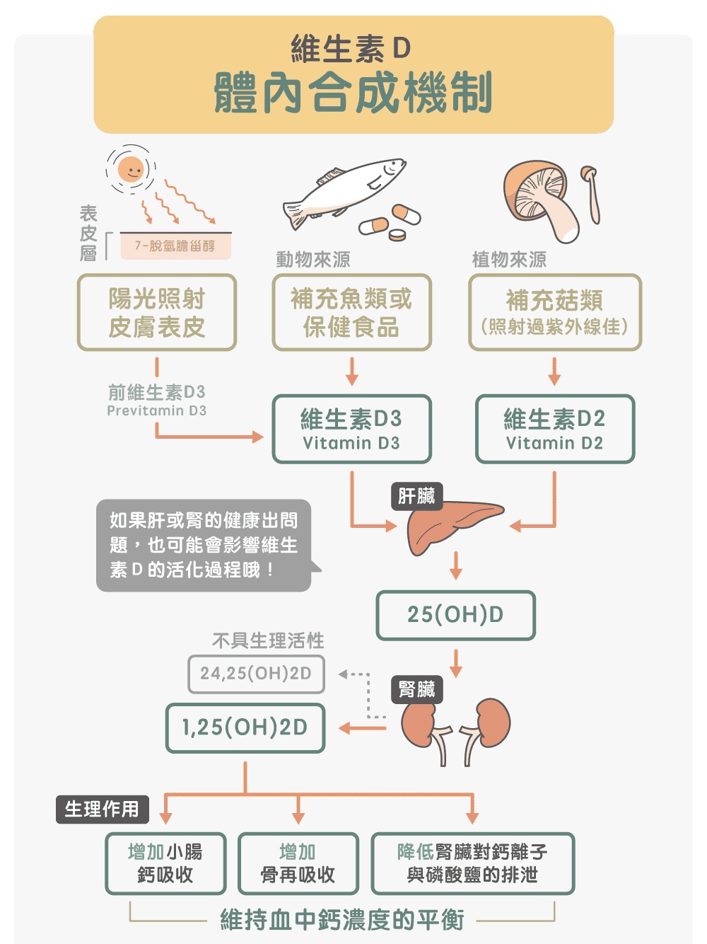 怎样补硒 锌（蛋白锌锌硒宝片价格）-硒宝网