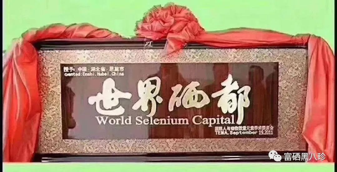 中国补硒大会(中国人补硒)-硒宝网