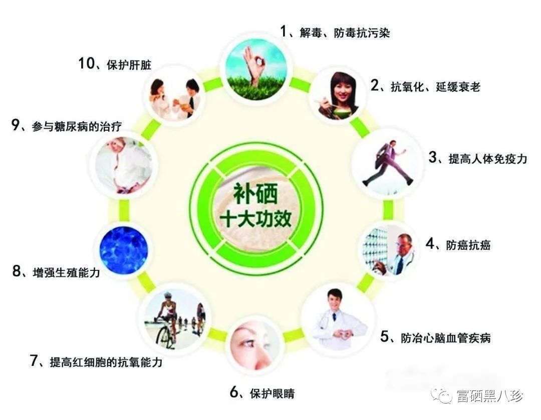 中国补硒大会(中国人补硒)-硒宝网