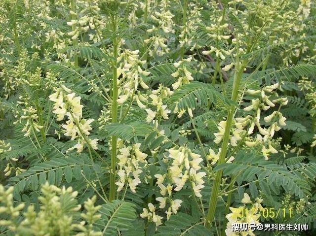 补硒改善精子(补硒改善精子)-硒宝网