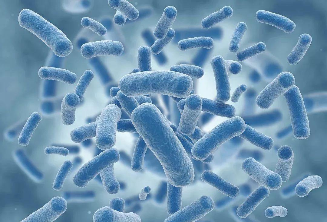 动物内脏补硒(人体中补硒的食物有哪些)-硒宝网