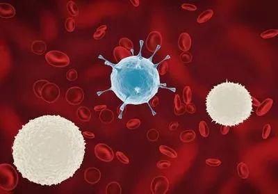 动物内脏补硒(人体中补硒的食物有哪些)-硒宝网