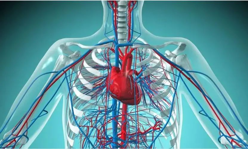 儿童补硒时间（儿童补硒推荐用量）-硒宝网