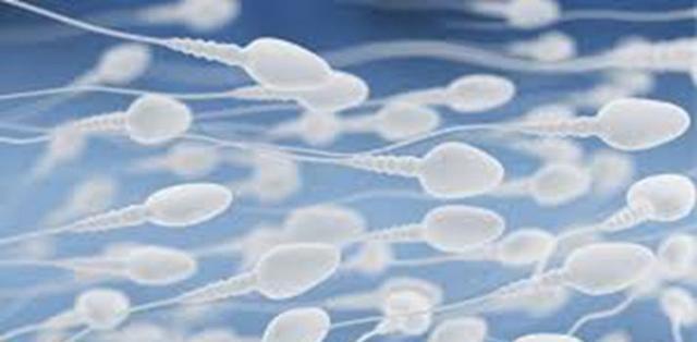 男人补什么硒（男人补硒的食物）-硒宝网