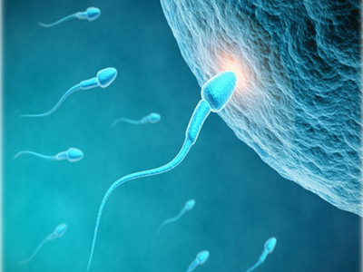 男人补什么硒（男人补硒的食物）-硒宝网