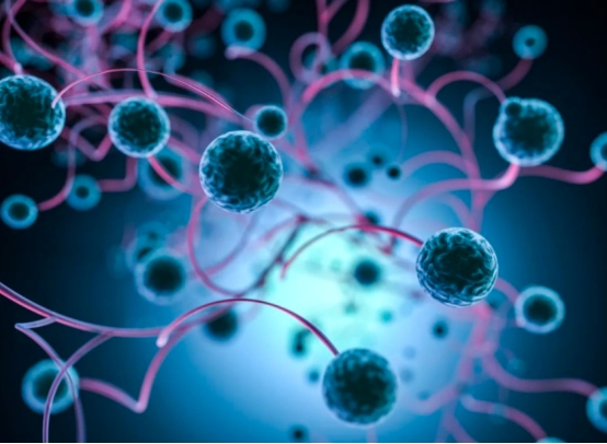 补硒治愈癌症(癌症治愈补硒多少钱)-硒宝网